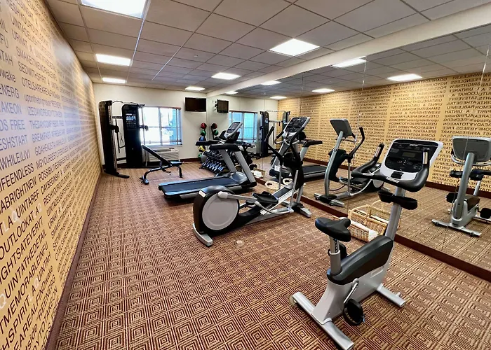 Hotel La Quinta By Wyndham Bannockburn-deerfield 3*
